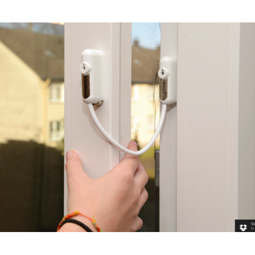 Raambeveiliger chroom / kabel zwart inclusief 1 sleutel